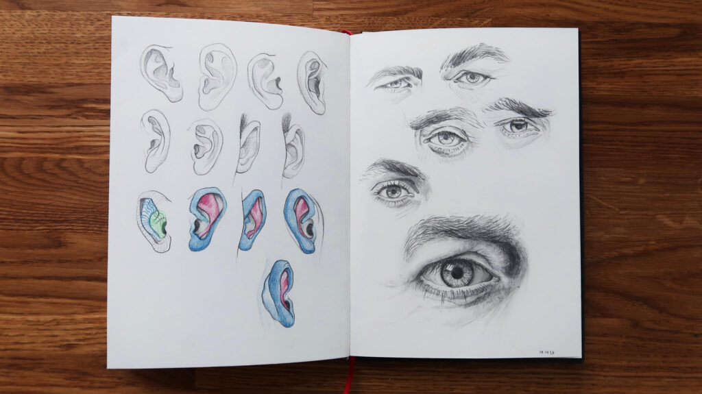 sketches of eyes and ears